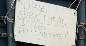 Lupo ucciso,scuoiato e appeso in pubblico.Atto ignobile che va punito