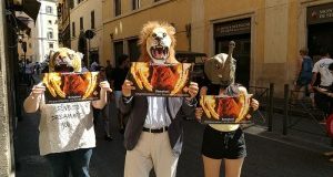 #ANIMALISENZACIRCO  in Commissione Senato primo SI a eliminazione animali nei circhi