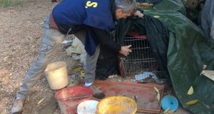 Verona: dopo nostra denuncia sequestrati animali di un allevamento abusivo. Ora affidati a noi