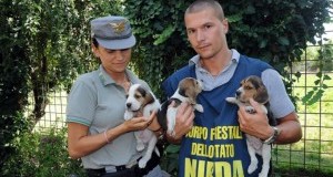 Il Governo annuncia retromarcia su proposta di impunibilità reati contro gli animali. Ora lo traduca in atto concreto. Ricordiamoglielo.